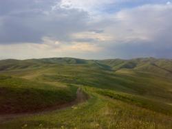 post-6685-0-48288500-1337401806_thumb.jp