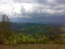 post-6685-0-53303600-1337401830_thumb.jp