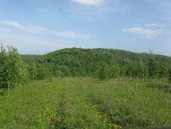 post-6726-0-13919000-1337009440_thumb.jp