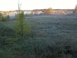 post-7485-0-34753400-1336732514_thumb.jp