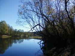 post-7485-0-36374100-1336732536_thumb.jp