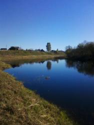 post-7485-0-59483200-1336732528_thumb.jp