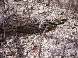 post-7899-0-32970300-1336125309_thumb.jp