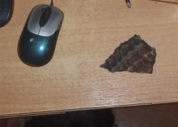 post-8227-0-39759900-1336387637_thumb.jp