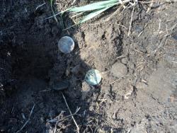 post-8735-0-64015800-1337879391_thumb.jp