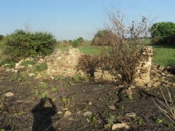 post-8735-0-73920400-1337879368_thumb.jp