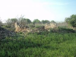 post-8735-0-93709500-1337879335_thumb.jp