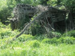 post-8735-0-98578600-1337879436_thumb.jp