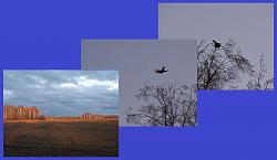 post-8942-0-57002300-1337060120_thumb.jp