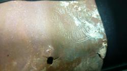 post-9966-0-85391200-1338208781_thumb.jp