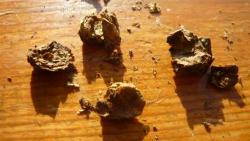 post-9966-0-98141100-1338209750_thumb.jp