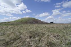 post-1023-0-84762900-1367759863_thumb.jp