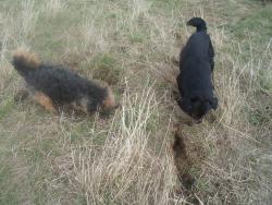 post-10860-0-31383000-1368548685_thumb.j