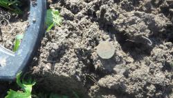 post-11080-0-02214900-1368900552_thumb.j