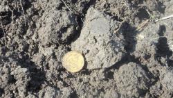 post-11080-0-03291900-1368901212_thumb.j