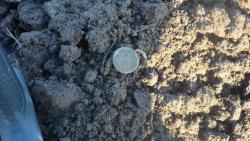 post-11080-0-09946200-1368734607_thumb.j