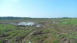 post-11080-0-14618400-1368901408_thumb.j