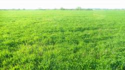 post-11080-0-30945900-1368734371_thumb.j