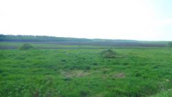 post-11080-0-59751400-1368900431_thumb.j