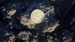 post-11080-0-83821500-1368734536_thumb.j