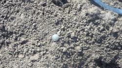 post-11080-0-92414800-1368900741_thumb.j