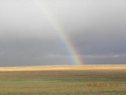 post-11631-0-87618500-1368289883_thumb.j