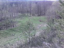 post-11786-0-26229700-1369931248_thumb.j