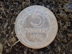 post-12373-0-34012500-1367838616_thumb.j