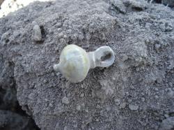 post-12373-0-63546100-1369230538_thumb.j