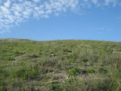 post-12373-0-99802500-1367836711_thumb.j