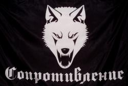 post-13075-0-01568500-1368877908_thumb.j