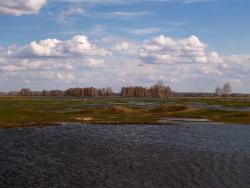 post-13075-0-12528000-1368345982_thumb.j