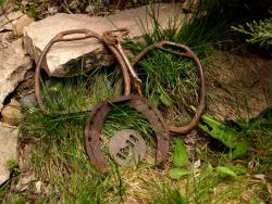 post-13075-0-63080400-1368347026_thumb.j