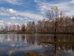 post-13075-0-78787300-1368346046_thumb.j