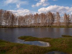 post-13075-0-98296200-1368346073_thumb.j