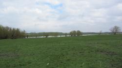 post-16248-0-07126600-1367902925_thumb.j