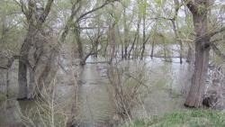 post-16248-0-09084900-1367902606_thumb.j