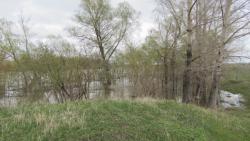 post-16248-0-18266600-1367902631_thumb.j