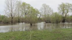 post-16248-0-29538600-1367902888_thumb.j