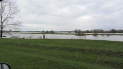 post-16248-0-33915600-1367902917_thumb.j