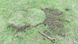 post-16248-0-44395300-1367907598_thumb.j