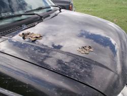 post-1697-0-13102400-1369138134_thumb.jp