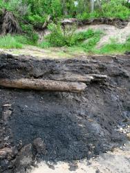 post-17252-0-04020400-1369841399_thumb.j