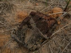 post-17252-0-05150800-1369841927_thumb.j