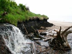 post-17252-0-10165500-1369840997_thumb.j