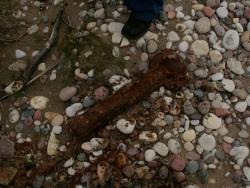 post-17252-0-10706400-1369841641_thumb.j