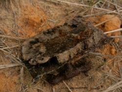 post-17252-0-13171400-1369841974_thumb.j