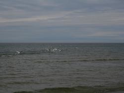 post-17252-0-21604200-1369842030_thumb.j