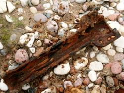 post-17252-0-77618200-1369841799_thumb.j