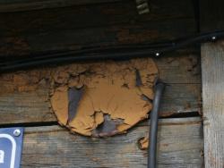 post-17252-0-99219500-1369408331_thumb.j